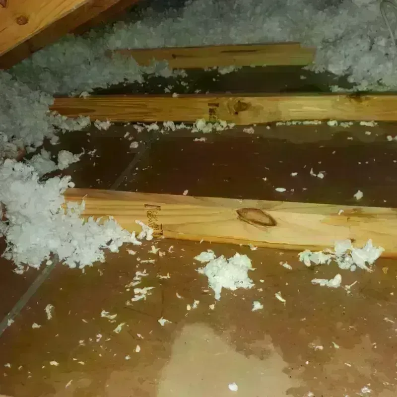 Attic Water Damage in Isle of Palms, SC